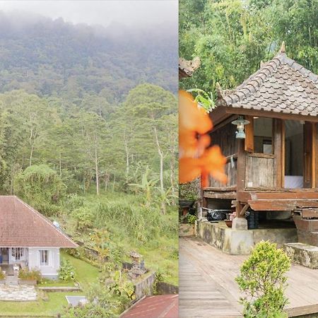 Vila Four Monkeys House Bedugul  Exteriér fotografie