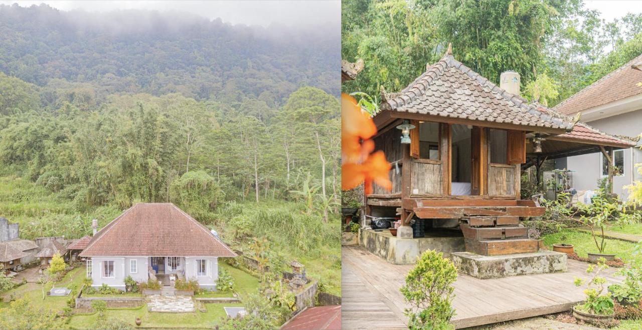 Vila Four Monkeys House Bedugul  Exteriér fotografie