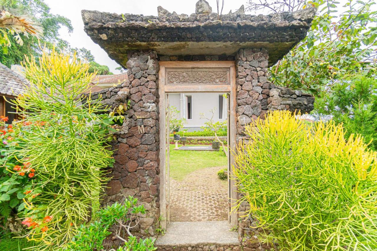 Vila Four Monkeys House Bedugul  Exteriér fotografie
