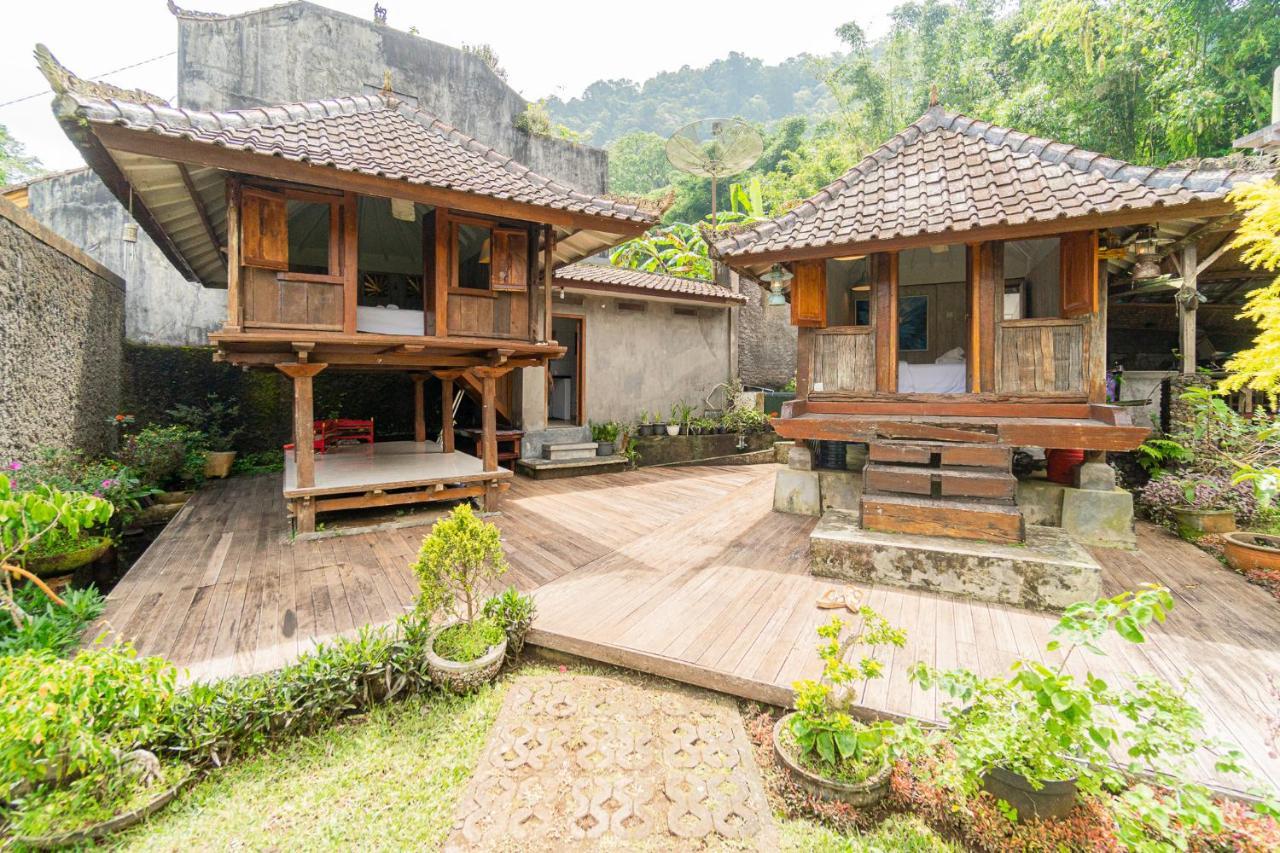 Vila Four Monkeys House Bedugul  Exteriér fotografie