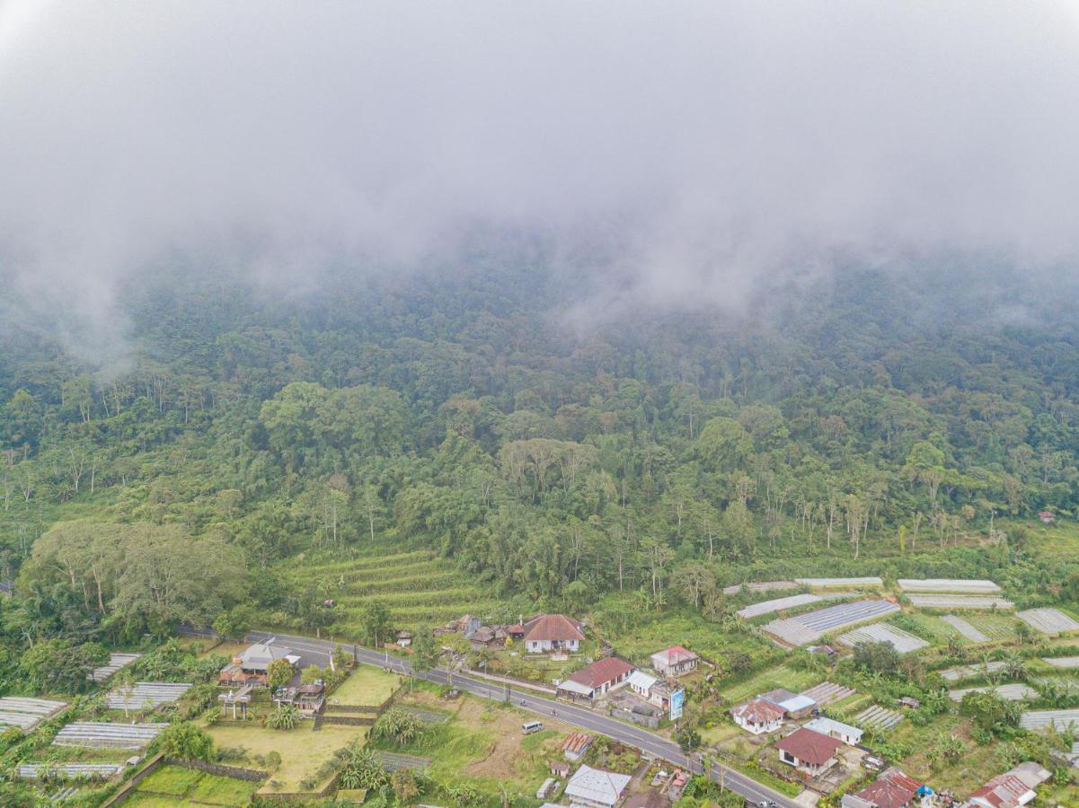 Vila Four Monkeys House Bedugul  Exteriér fotografie