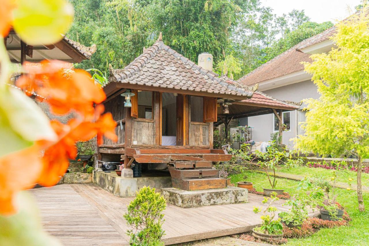 Vila Four Monkeys House Bedugul  Exteriér fotografie