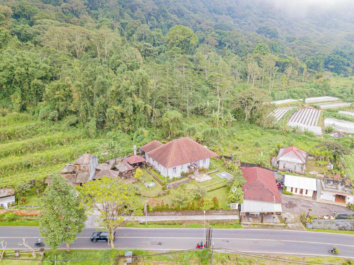 Vila Four Monkeys House Bedugul  Exteriér fotografie