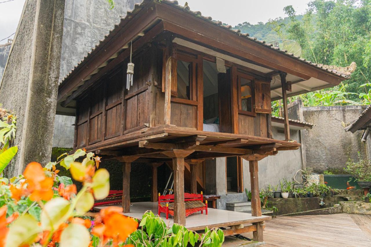 Vila Four Monkeys House Bedugul  Exteriér fotografie