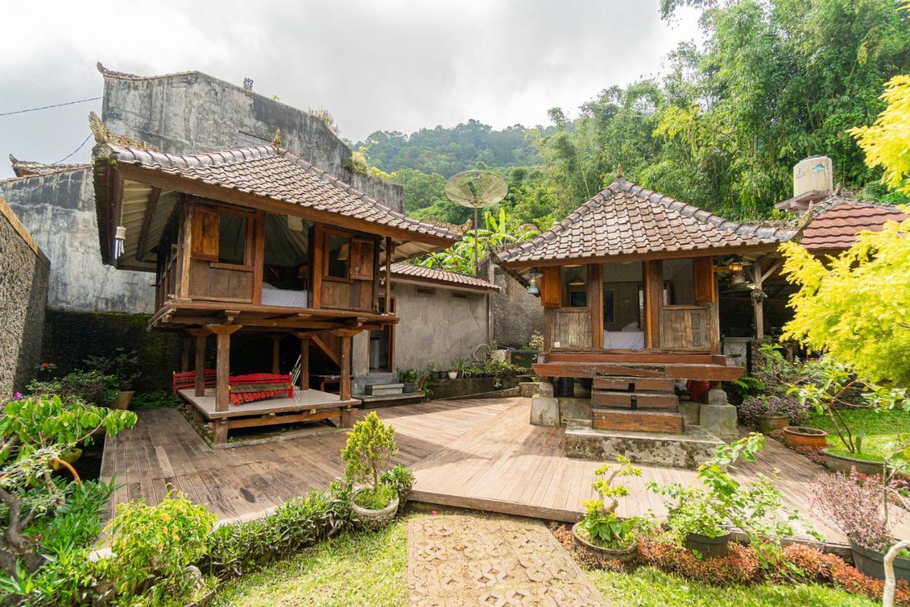 Vila Four Monkeys House Bedugul  Exteriér fotografie