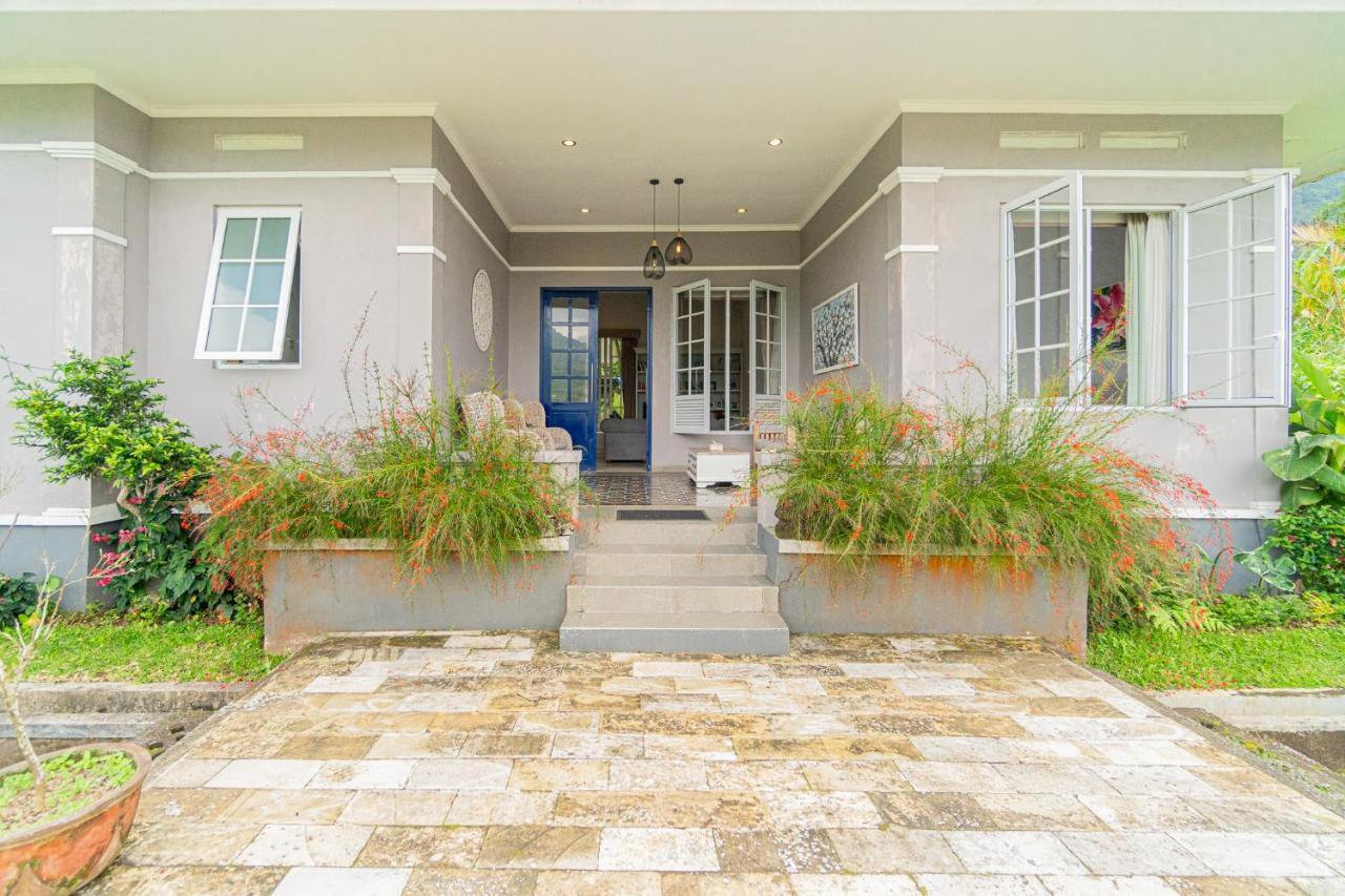 Vila Four Monkeys House Bedugul  Exteriér fotografie