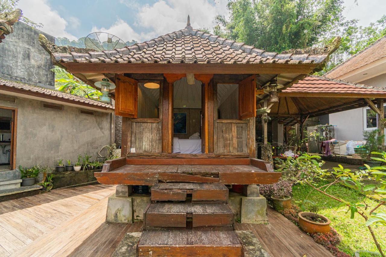 Vila Four Monkeys House Bedugul  Exteriér fotografie