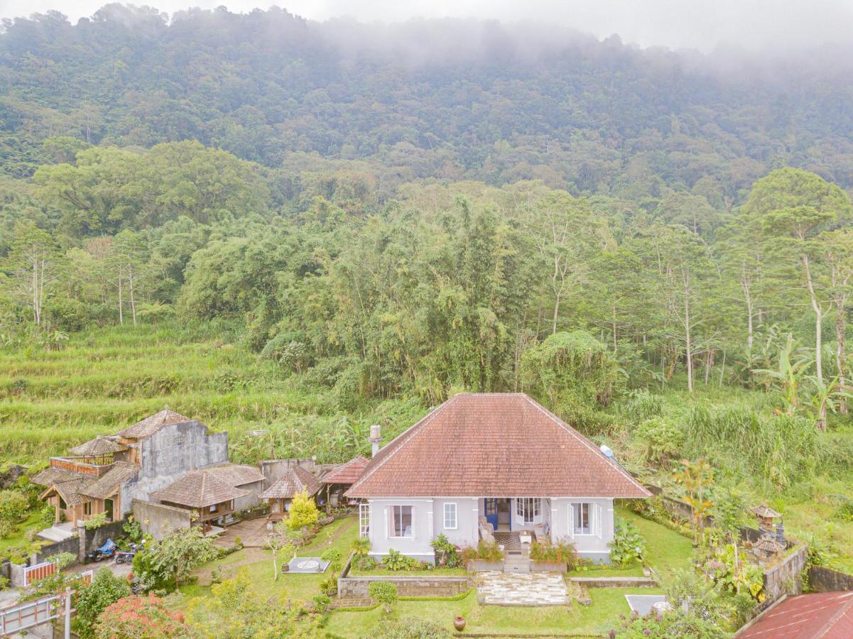 Vila Four Monkeys House Bedugul  Exteriér fotografie